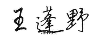 駱恆光王蓬野行書個性簽名怎么寫