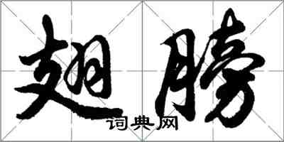 胡問遂翅膀行書怎么寫