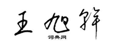 梁錦英王旭乾草書個性簽名怎么寫