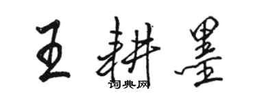 駱恆光王耕墨行書個性簽名怎么寫