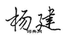 駱恆光楊建行書個性簽名怎么寫