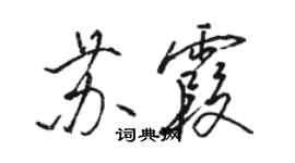 駱恆光蘇霞行書個性簽名怎么寫