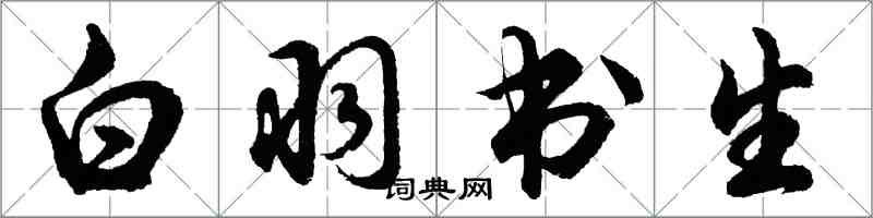 胡問遂白羽書生行書怎么寫