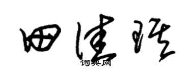 朱錫榮田佳琪草書個性簽名怎么寫