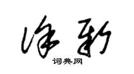 朱錫榮徐新草書個性簽名怎么寫