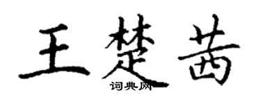 丁謙王楚茜楷書個性簽名怎么寫