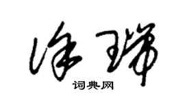 朱錫榮徐瑞草書個性簽名怎么寫