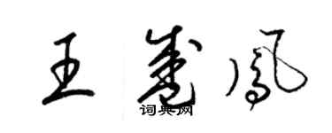 梁錦英王盛鳳草書個性簽名怎么寫