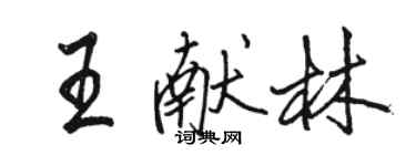 駱恆光王獻林行書個性簽名怎么寫