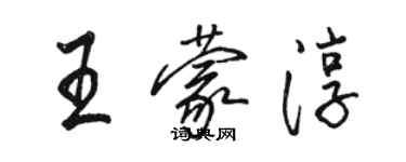 駱恆光王蒙淳行書個性簽名怎么寫