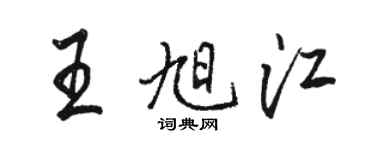 駱恆光王旭江行書個性簽名怎么寫