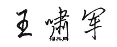 駱恆光王嘯軍行書個性簽名怎么寫