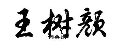 胡問遂王樹顏行書個性簽名怎么寫