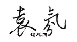 駱恆光袁氛行書個性簽名怎么寫