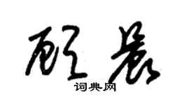 朱錫榮顧晨草書個性簽名怎么寫