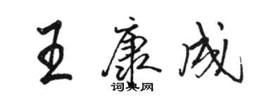 駱恆光王康成行書個性簽名怎么寫