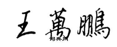 王正良王萬鵬行書個性簽名怎么寫