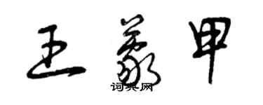 曾慶福王蒙甲草書個性簽名怎么寫