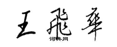 王正良王飛華行書個性簽名怎么寫