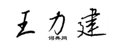 王正良王力建行書個性簽名怎么寫