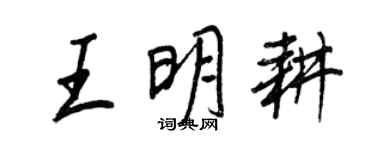王正良王明耕行書個性簽名怎么寫