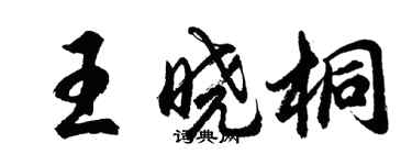 胡問遂王曉桐行書個性簽名怎么寫