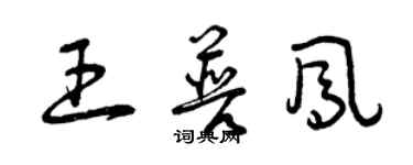 曾慶福王普鳳草書個性簽名怎么寫