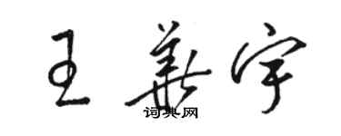 駱恆光王華宇草書個性簽名怎么寫