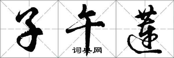 胡問遂子午蓮行書怎么寫