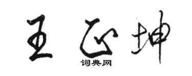 駱恆光王正坤行書個性簽名怎么寫