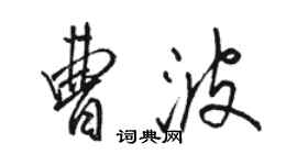 駱恆光曹波行書個性簽名怎么寫