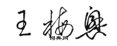 駱恆光王梅興草書個性簽名怎么寫