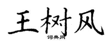 丁謙王樹風楷書個性簽名怎么寫