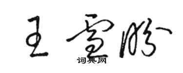 駱恆光王雪盼草書個性簽名怎么寫