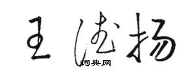 駱恆光王德揚草書個性簽名怎么寫