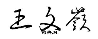 曾慶福王文嶺草書個性簽名怎么寫