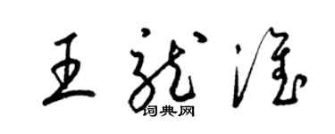 梁錦英王龍淮草書個性簽名怎么寫