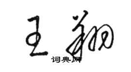 駱恆光王翔草書個性簽名怎么寫