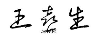 曾慶福王喜生草書個性簽名怎么寫