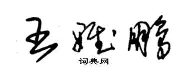 朱錫榮王雅鵬草書個性簽名怎么寫