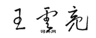 駱恆光王雲亮草書個性簽名怎么寫