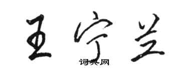 駱恆光王寧蘭行書個性簽名怎么寫