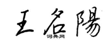 王正良王名陽行書個性簽名怎么寫