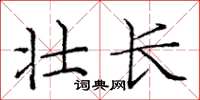 龐中華壯長楷書怎么寫