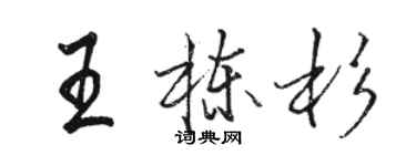 駱恆光王棟杉行書個性簽名怎么寫