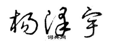 曾慶福楊澤宇草書個性簽名怎么寫