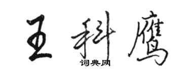 駱恆光王科鷹行書個性簽名怎么寫
