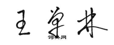 駱恆光王單林草書個性簽名怎么寫