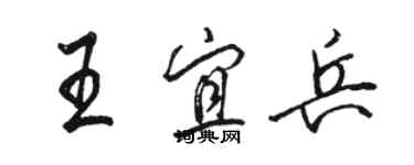 駱恆光王宜兵行書個性簽名怎么寫