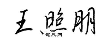 王正良王照朋行書個性簽名怎么寫